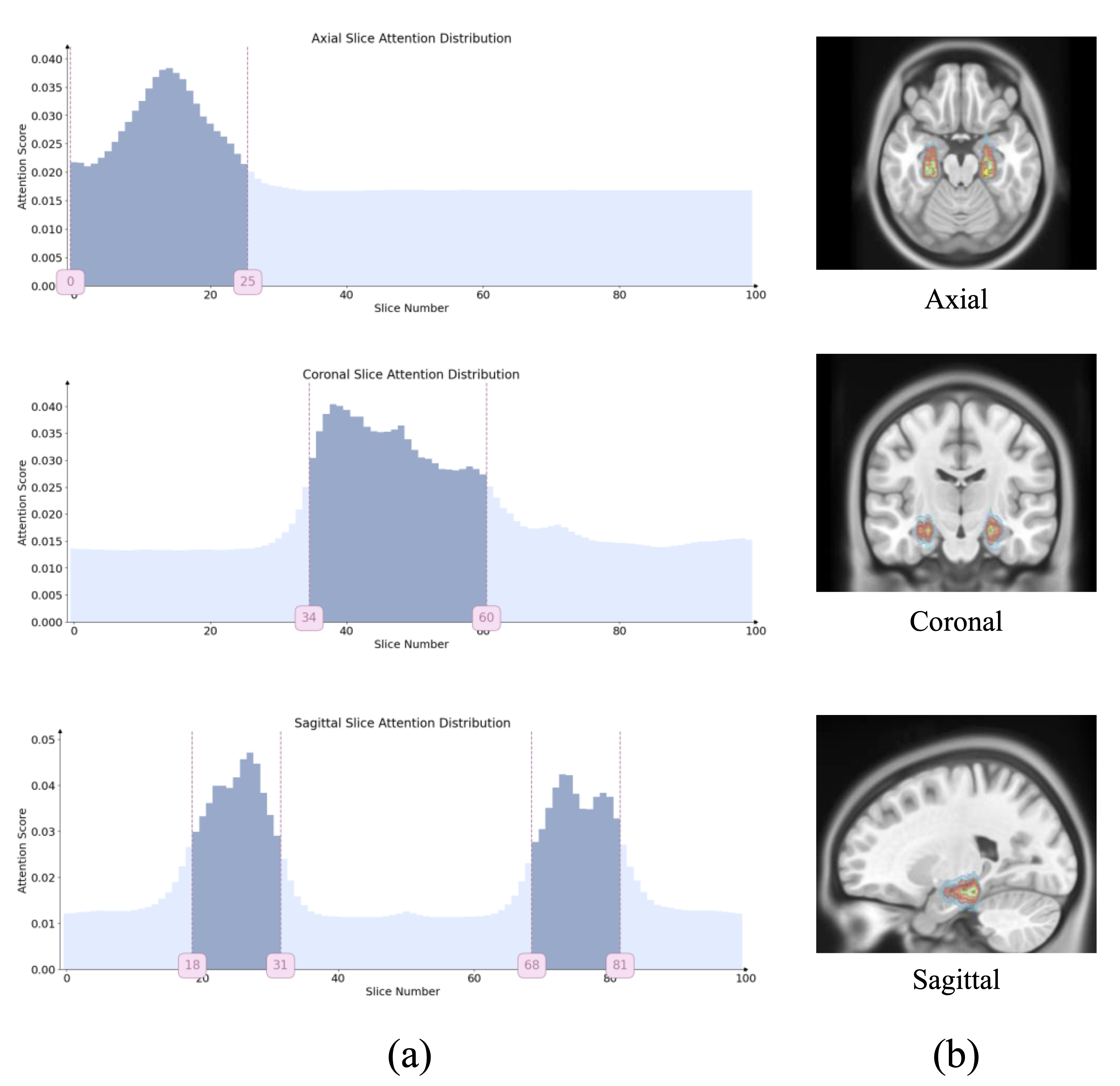 Visualization Results